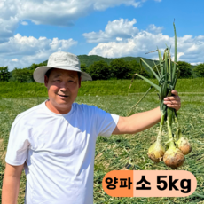 만근농장 국내산 햇양파, 1개, 5kg(소)