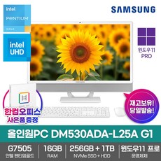 삼성전자 올인원 일체형 PC 프로스트 화이트 DM530ADA-L25A (펜티엄골드 7505 60.5cm WIN11 Pro) 기업용 사무용 학습용 RAM 4GB + SSD 128GB 상품 이미지