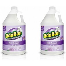 OdoBan 다목적 클리너 농축액 2 Gal 라벤더 향 - 악취 제거제 소독제 홍수 화재 물 피해 복구:, 1