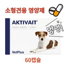 벳플러스 액티베이트 소형견용 두뇌 영양제 캡슐 60개입, 60캡슐 - 액티베이트