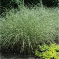 a27c1245cf9c097c1c192a5fb55f8e0ebfd27989d783f208548cf502323d.jpg