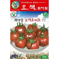 오색토마토