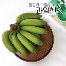 미셸뮤직