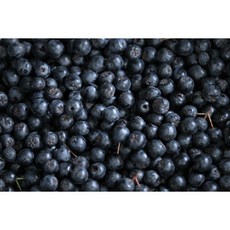 아로니아 생과, 1개, 1000g