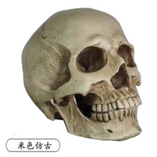 8b7f2d7b35d2b5c8b619f9e6f16a89a3079f2776b0995cfdac48695d0a07.jpg