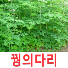a2a61bacdae3fa8bec5a0a15c6bea3444e81e7d74d1e1f45f105990df43c.png