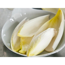 (플레이탕) 엔다이브 1통 (약140g) / 앤다이브 endive 적앤다이브 엔다이브쌈채소 엔다이브채소 적엔다이브 엔다이브샐러드 레드엔다이브 벨기에엔다이브