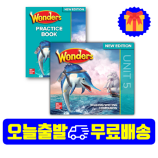 bose컴패니언