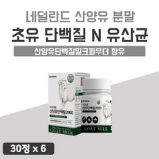 내몸밸런스
