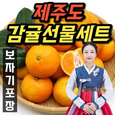 제주천혜향선물세트2호