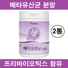 메타포트프로2