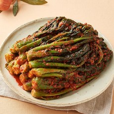 여수노반장갓김치
 여수노반장 여수돌산갓김치 1.5kg 외 김치모음 포기김치 1kg 1개