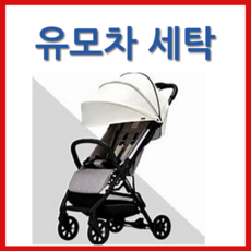잉글레시나퀴드2
