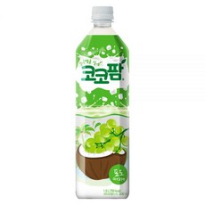 돌체풍기인견
