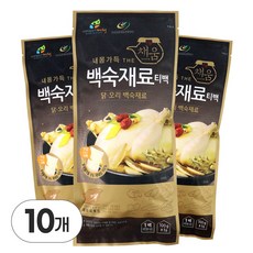 자연닮음 국산 삼계탕재료 백숙재료 한방티백 100g 내몸가득 한약재, 10개