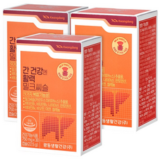 광동 간 건강엔 활력 밀크씨슬 22.5g, 3개
