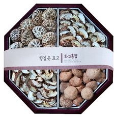 온담 감동 장흥 백화고 혼합세트, 1세트