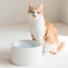 PROJECT21 Pet Pacific 海鮮+獨家玻璃餐具套裝, 白色的, 1個