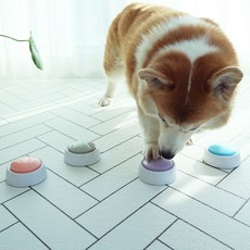 DING DONG PET 寵物可錄音按鈴訓練器 2入組, 灰色+紫色, 1組