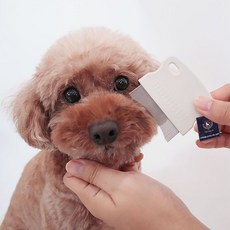 DING DONG PET 寵物臉部圓角梳 63 x 5 x 58 mm, 1個, 白色