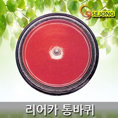 1543d23f-ff0d-4108-be5b-a83b42c746e2.jpg