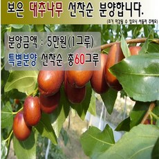 8786cfab-aaf0-4701-a77f-c1dc8297cfe3.jpg