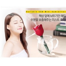 레토미니가습기