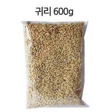러브펫 햄스터 토끼 사료 간식 귀리600g, 600g, 1개