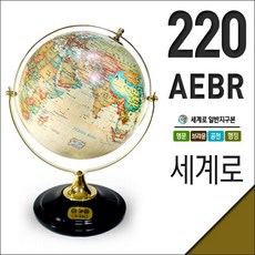 세계로지구의304acl