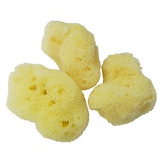 로젠필드 해면스폰지3-4cm, 1ea