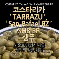 필더컵 코스타리카 Tarrazu San Rafael RZ SHB EP 생두, 원두, 500g