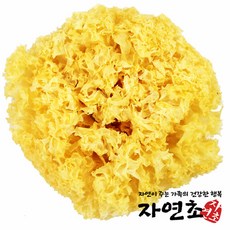 자연초 흰목이버섯, 600g, 1개