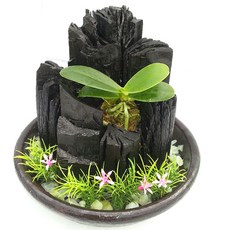 숯화분항아리