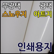 아트지스노우지