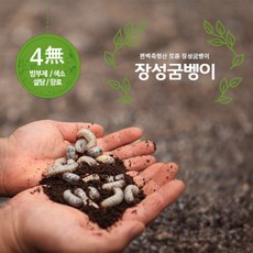 a505ed8e-ca6d-4b60-88bb-c93f7e6da8ce.jpg