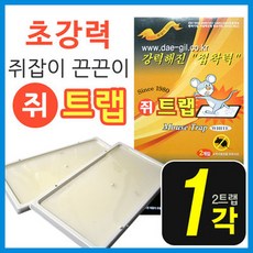 //상품명