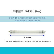 be397673-93a9-468e-ba7e-da6c50cb4320.jpg