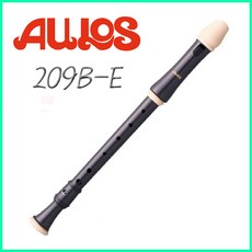 아울로스알토리코더209b