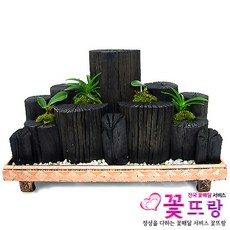 숯부작만들기