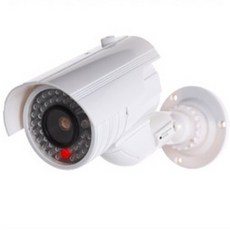 그릴전방카메라모형