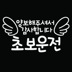 제주도서핑초보이호테우