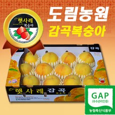 햇사레 복숭아 감곡 햇사래 백도 유명 황도 천중도 엘바더 엘바드 미백 몽부사 복숭아즙 산지직송 도림농원, 8과, 햇사레복숭아 3.0Kg, 1개