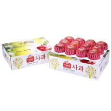 햇살어린복숭아