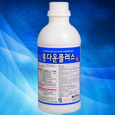 베라왕숄카라롱다운