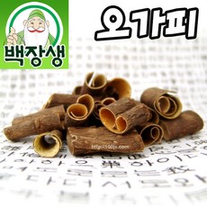 진오갈피