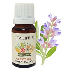 란실리오클라쎄10