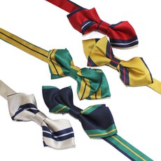 두돌남아보타이