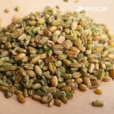 6d36a069-0207-41eb-90e0-5d26b0e68bf0.jpg