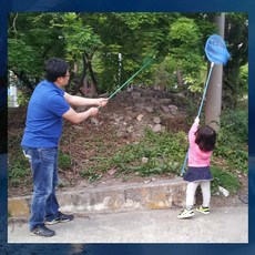 드림하우스 잠자리채 곤충학습