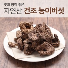 2023년 자연산 능이버섯 / 건조능이버섯 A급, 1개